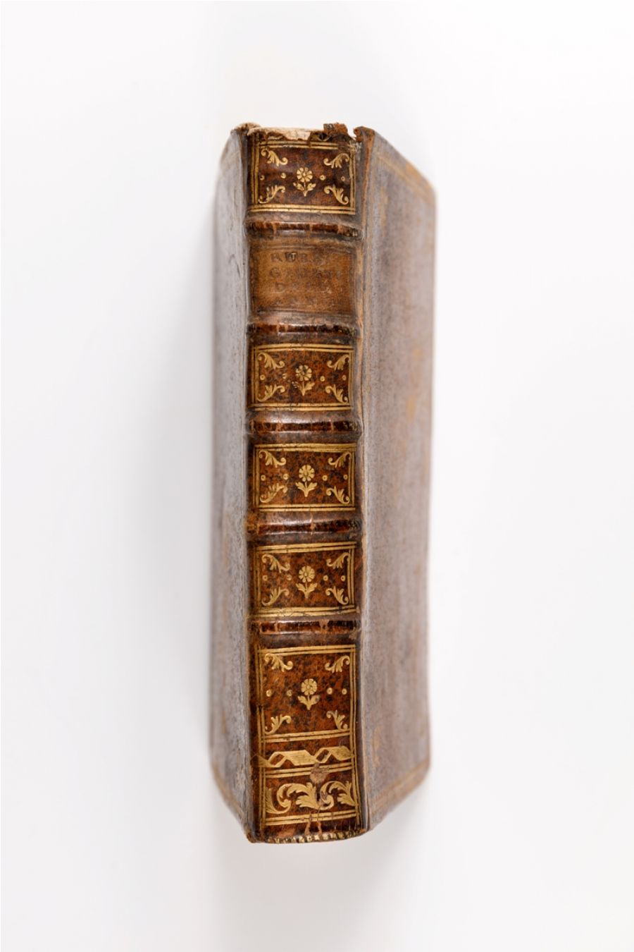 CCC.LXVI. Giorni Dell'Anno Consecrati Alla Passione Di Gesu Cristo. 1793