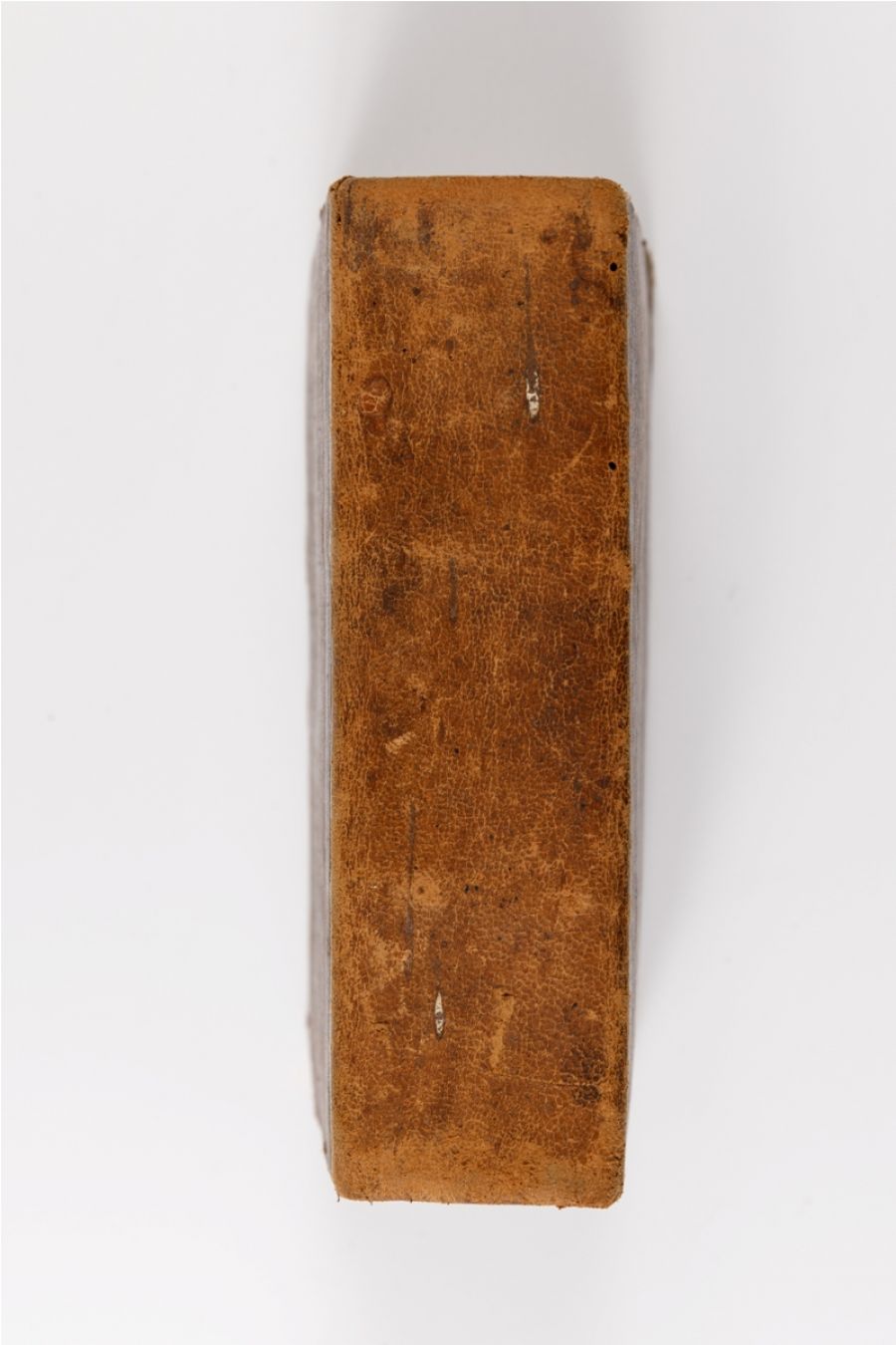 De'Fatti di Alessandro Magno… Q Curtio. 1723