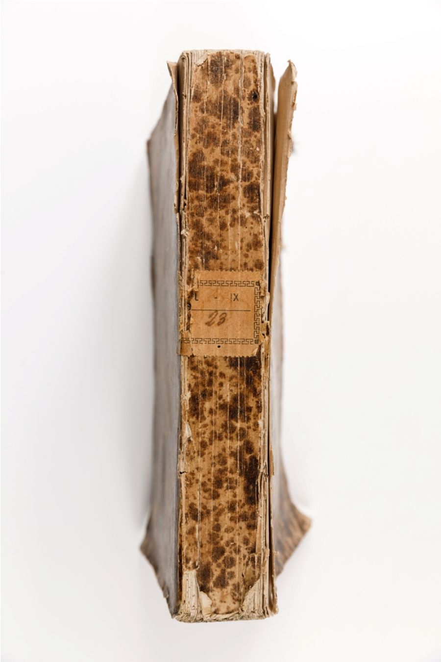 Lettere della Santa Madre Teresa di Giesu. 1721