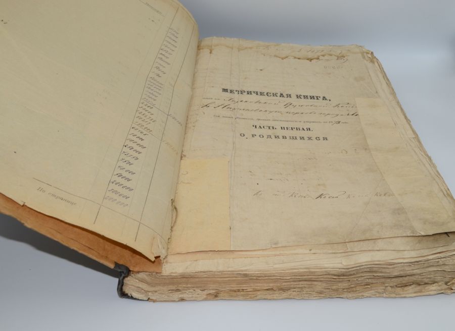 Метрическая книга г. Ахтырки, Сумской обл. 1878-1879